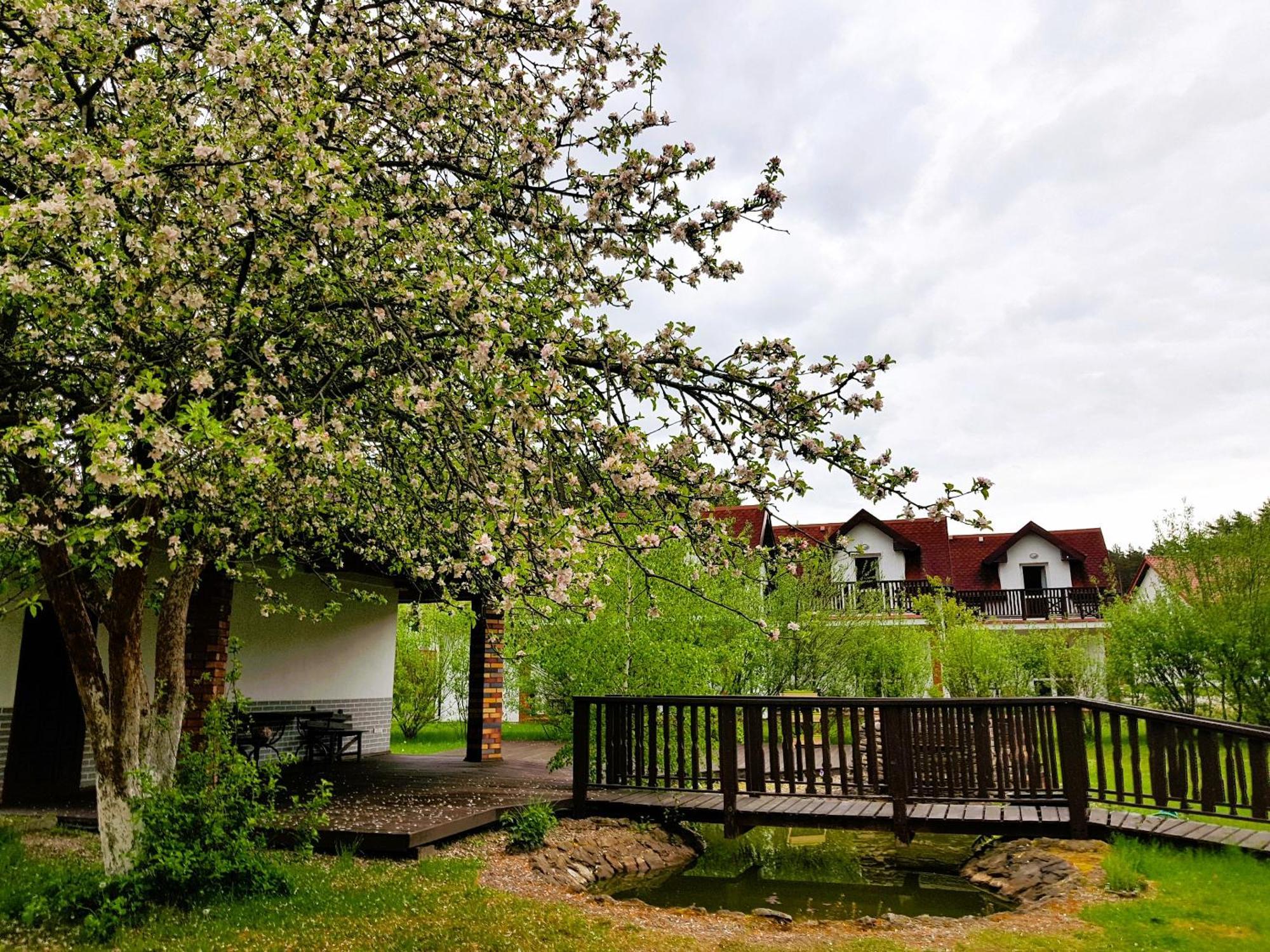 Osrodek Nad Jeziorem - Radew Rosnowo Buitenkant foto